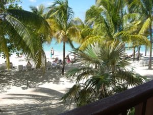 Couples Resorts _Swept Away Palm trees