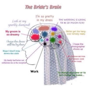 Bridal show brain mem