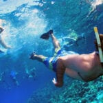 man Snorkeling in caribbean